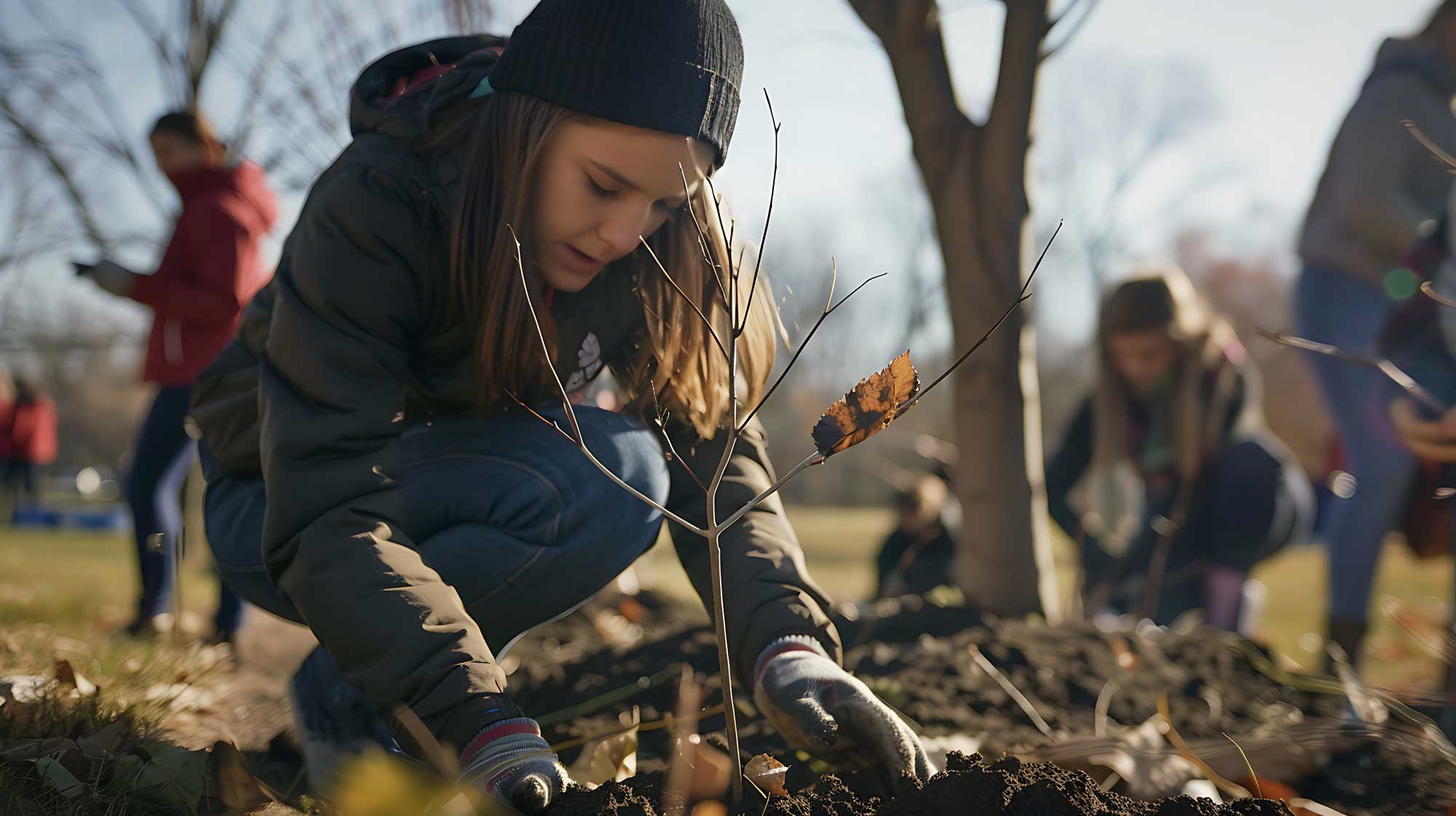 A young woman wearing a beanie and gloves crouches down to plant a small tree sapling in the soil. The sapling has a single dried leaf still attached. She is focused on her task, surrounded by other volunteers who are also planting trees in a park setting. The background shows bare trees and soft sunlight, suggesting an autumn or early winter day.